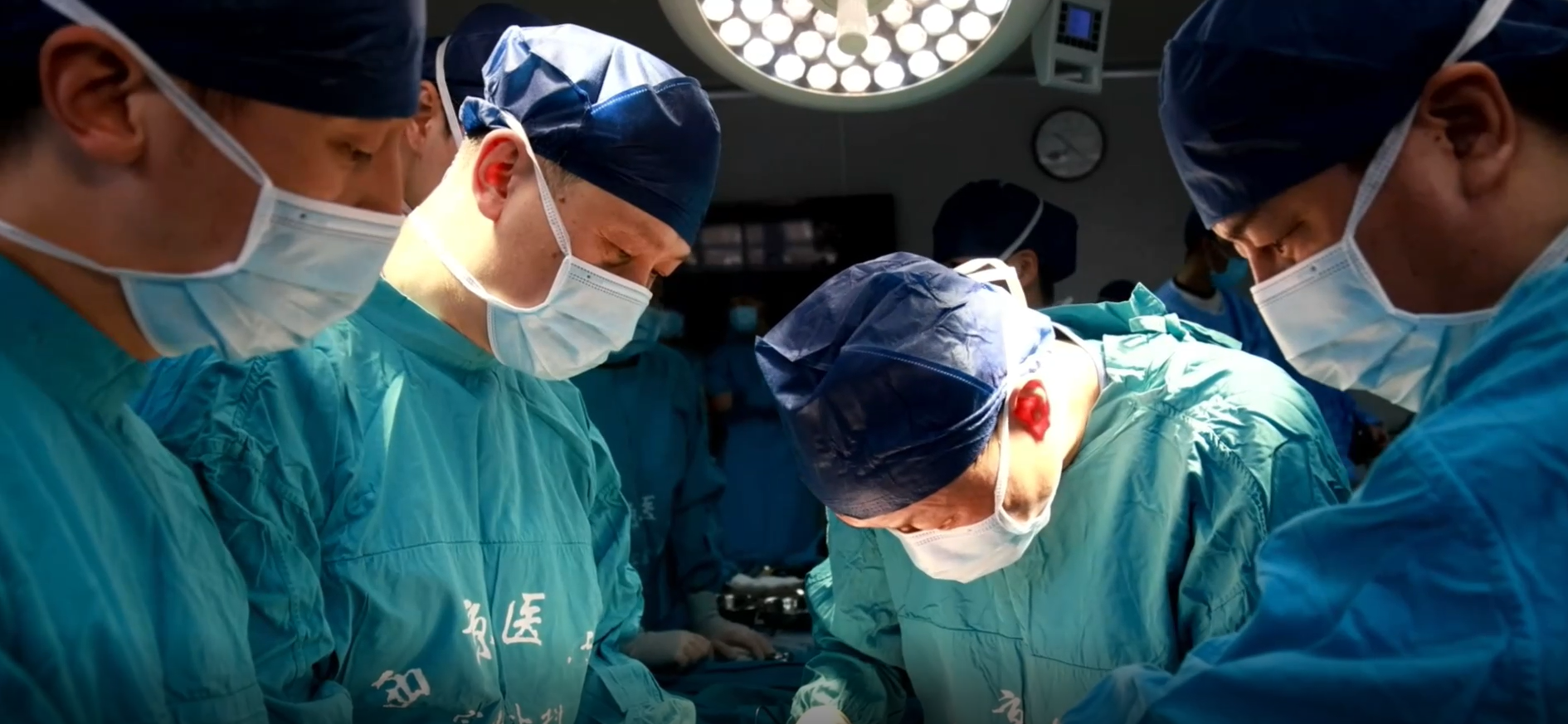 中国科学十大进展专家解读会